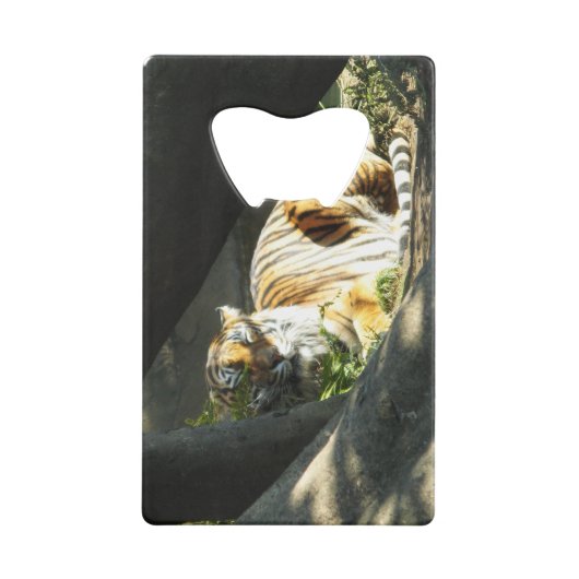 Tiger Catnap Kredietkaart Flessenopener (Achterkant)