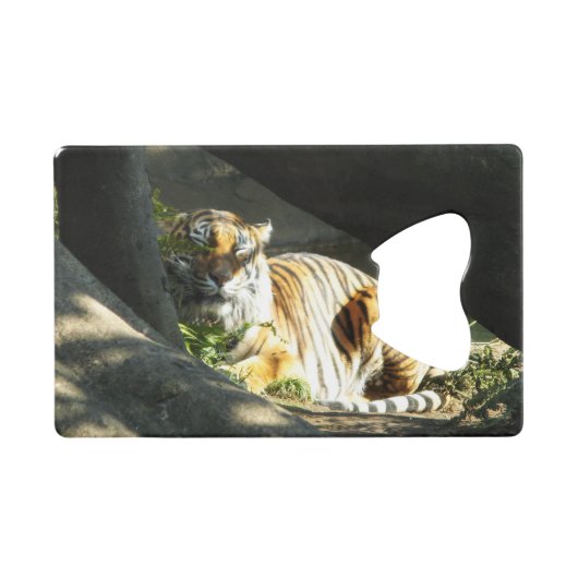 Tiger Catnap Kredietkaart Flessenopener (Voorkant (Horizontaal))