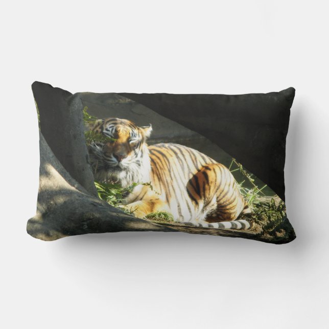 Tiger Catnap Kussen (Voorkant)