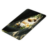 Tiger Catnap Magneet (Linkerzijde)