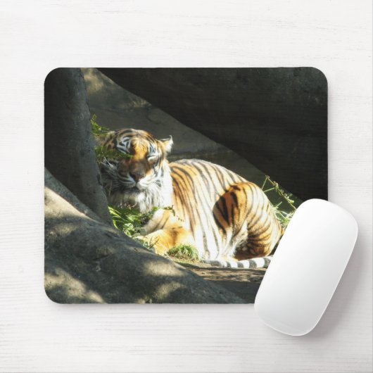 Tiger Catnap Muismat (Met muis)