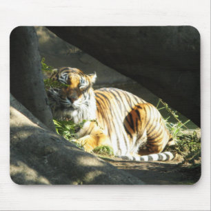 Tiger Catnap Muismat