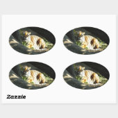 Tiger Catnap Ovale Sticker (Vel)
