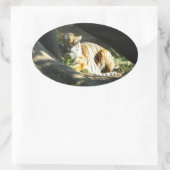 Tiger Catnap Ovale Sticker (Tas)