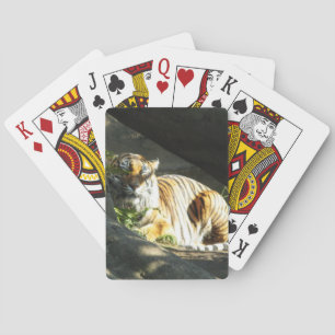 Tiger Catnap Pokerkaarten