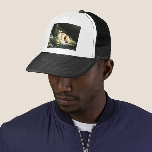 Tiger Catnap Trucker Pet (In situ)