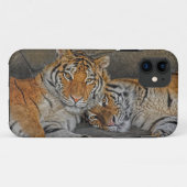 Tiger Cave Case-Mate iPhone Case (Achterkant (horizontaal))