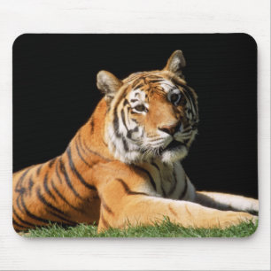 Tiger Closeup Muismat