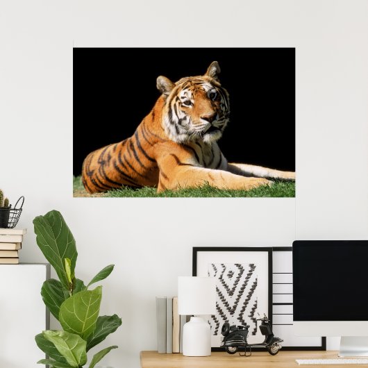 Tiger Closeup Poster (Thuiskantoor)
