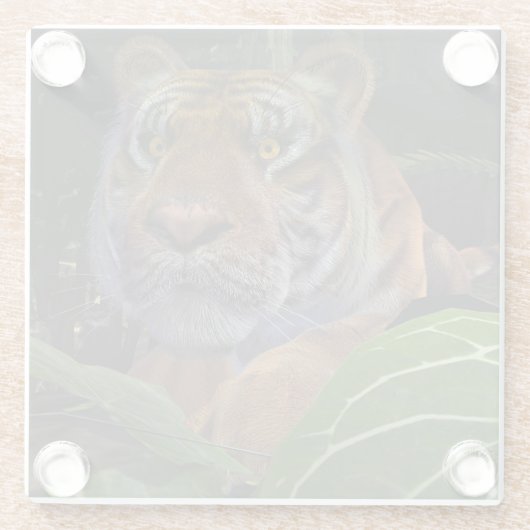 Tiger Crouching in het Oerwoud Glazen Onderzetter (Achterkant)