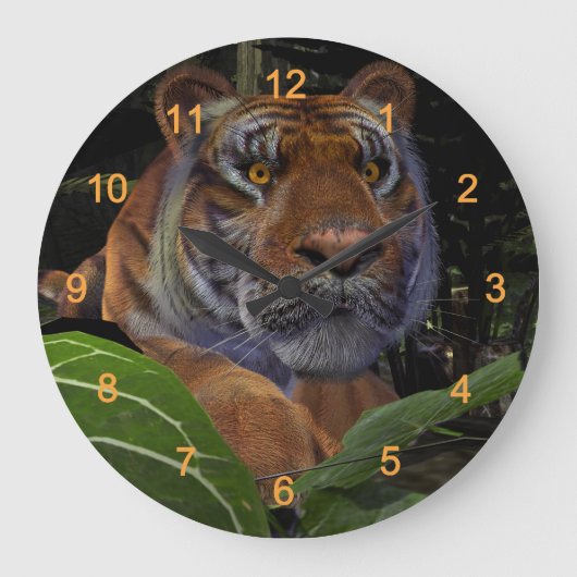 Tiger Crouching in het Oerwoud Grote Klok (Voorkant)