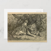 Tiger Cub Ephemera  Kunst Briefkaart (Voorkant / Achterkant)