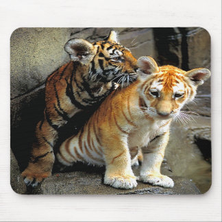 Tiger Cubs Mousepad Muismat