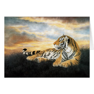 Tiger Dawn