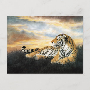 Tiger Dawn Briefkaart