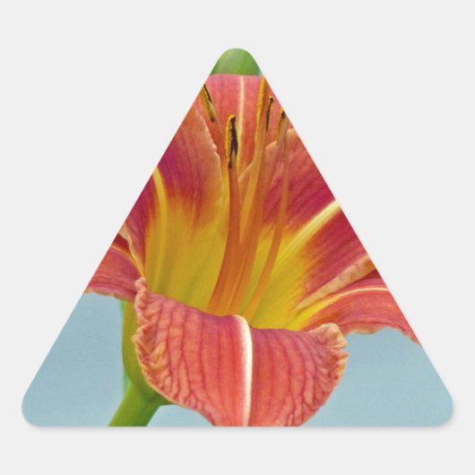 Tiger Daylily Driehoek Sticker (Voorkant)