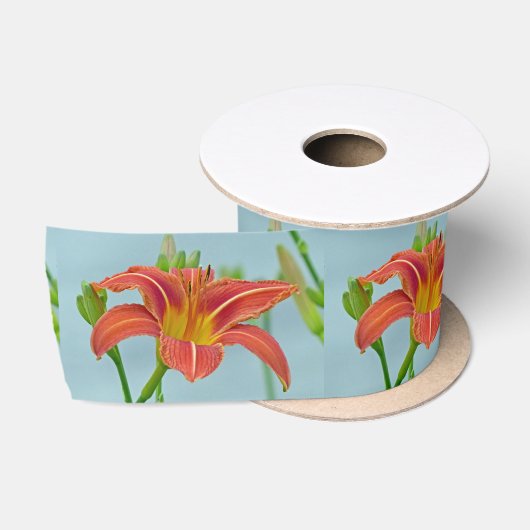 Tiger Daylily Lint (Spoel)