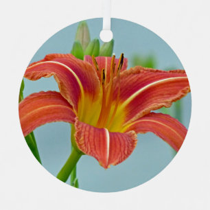 Tiger Daylily Ornament