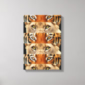 Tiger- en luiogen Foto Canvas Afdruk (Voorkant)