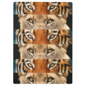Tiger- en luiogen Foto Klembord (Achterkant)