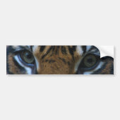 Tiger eyes bumpersticker (Voorkant)