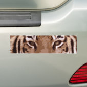 Tiger Eyes Custom Bumpersticker (Op auto)