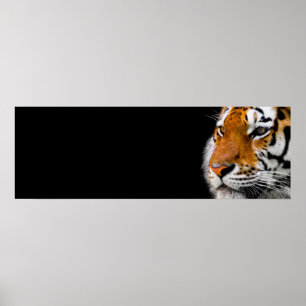 Tiger Eyes Wild Animal Art Courage Leadership Poster