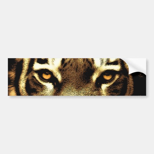 Tiger Eyes Wild Animal Foto's Bumperstickers (Voorkant)