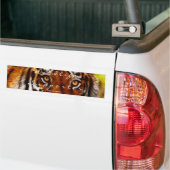 TIGER EYES Wildlife Supporter Bumper sticker (Sur camion)