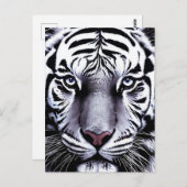 Tiger face briefkaart (Voorkant / Achterkant)