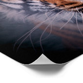 Tiger Face Eyes Stunning Big Cat A3 Poster (Hoek)