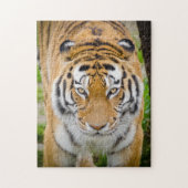 Tiger Face Legpuzzel (Verticaal)