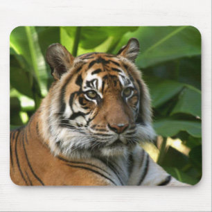 Tiger Face Mousepad Muismat