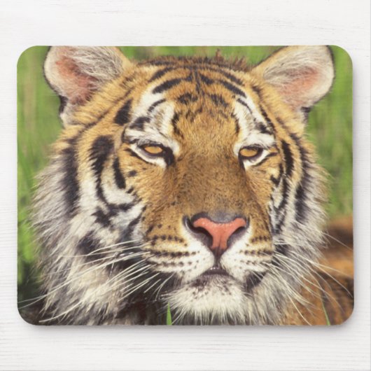 Tiger Face Muismat (Voorkant)