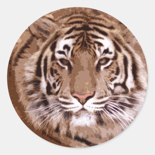 Tiger Face Ronde Sticker (Voorkant)