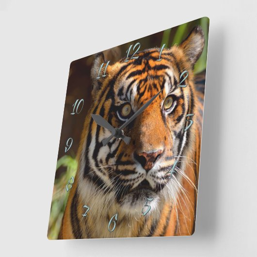 Tiger Face Vierkante Klok (Hoek)