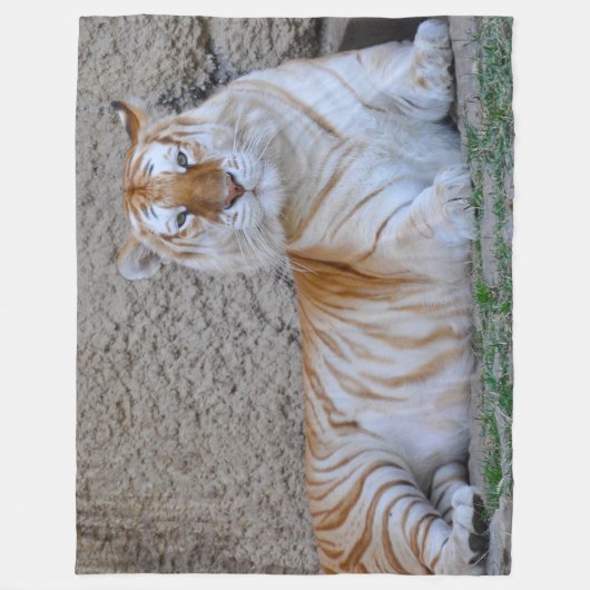 Tiger Fleece Blanket (Voorkant)