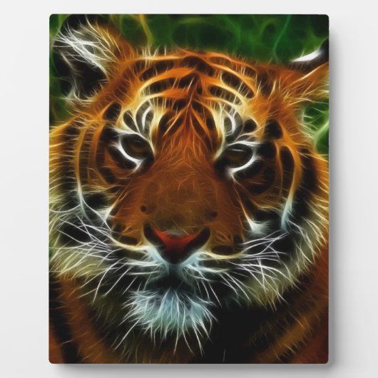 TIGER FOTOPLAAT (Voorkant)