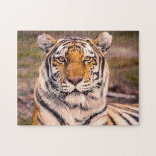 Tiger-fotoportret Legpuzzel