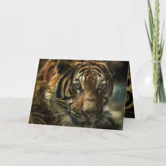 TIGER GROUND ZERO KAART (Voorkant)