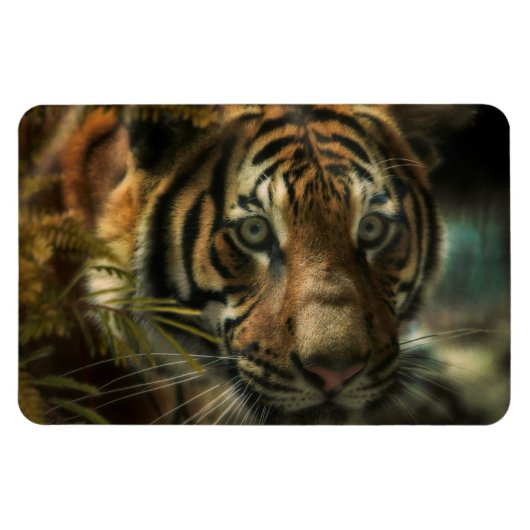 TIGER GROUND ZERO MAGNEET (Horizontaal)