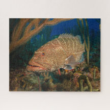 Tiger Grouper Underwater Jigzaag Puzzle