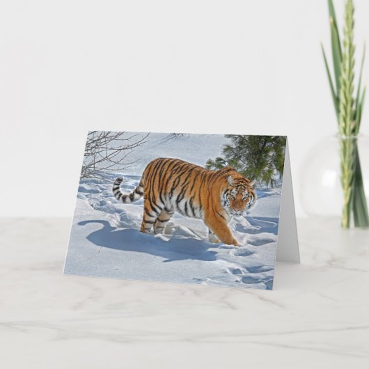 Tiger in Deep Snow Holiday Kaart (Voorkant)