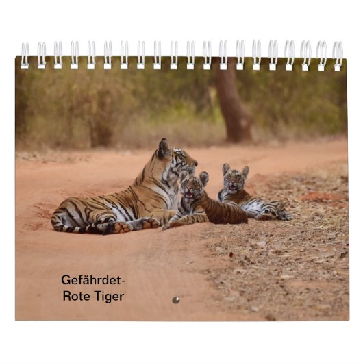 Tiger in Rot als Kalender (Hoes)