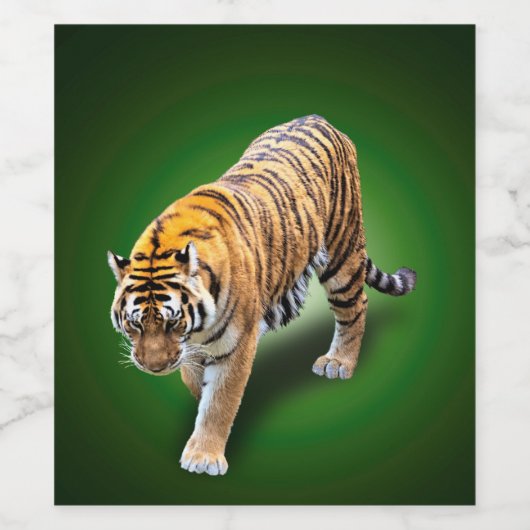 TIGER IN UW RICHTING WIJN ETIKET (Enkel label)