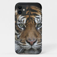 Tiger iPhone Case