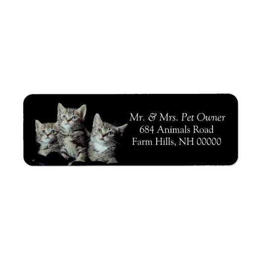 Tiger Kittens Return Address Stickers Labels (Voorkant)