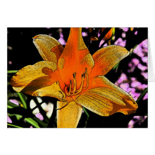 Tiger Lilly 2