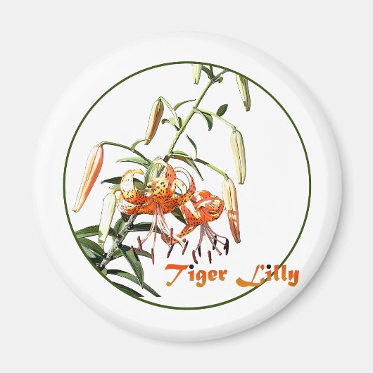 Tiger Lilly Magneet (Voorkant)