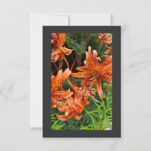 Tiger Lily Bedankkaart